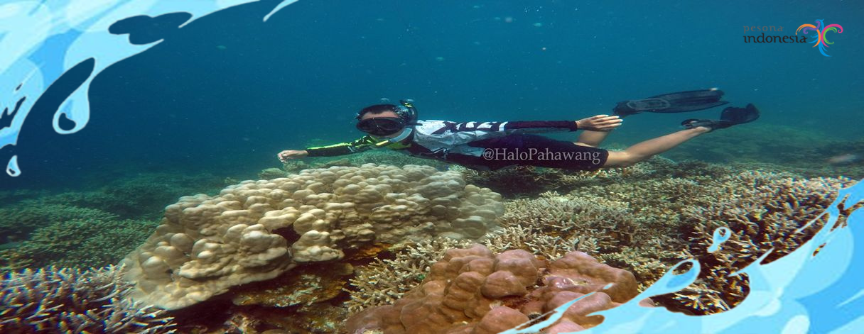Open Trip Pulau Wayang & Teluk Hantu 1 Hari
